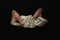 Monétisation & business en ligne